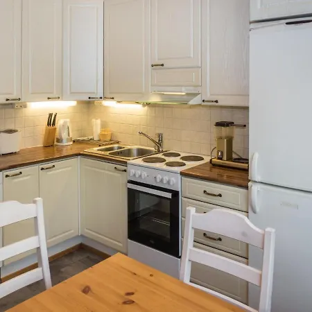 Semesterbostad Onkijantie 7b By Interhome Ruka